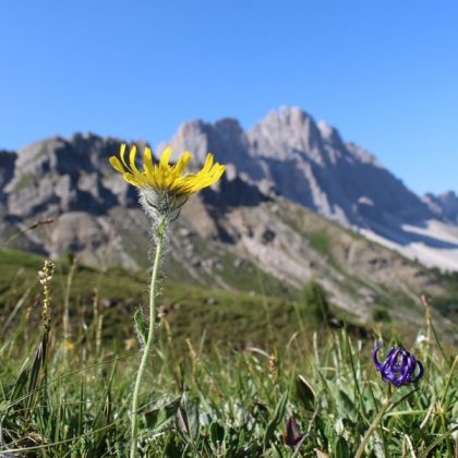 hiking holiday Plose Bressanone S.Andrea