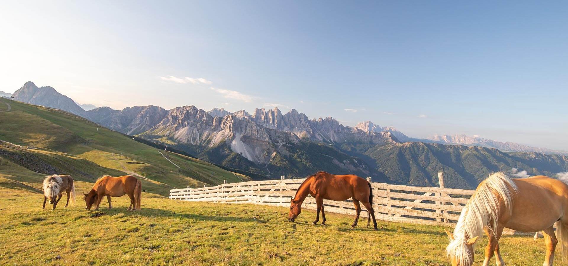 sommerurlaub in brixen plose